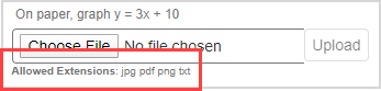 A list of allowed file extensions for external documents is listed below the "Choose File" button in the response area of document upload questions.